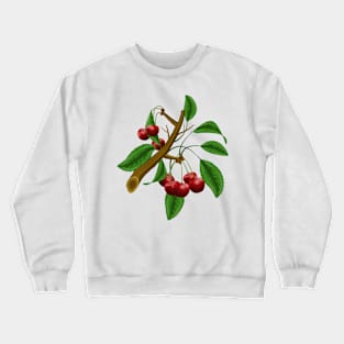 Cherry Branch Crewneck Sweatshirt